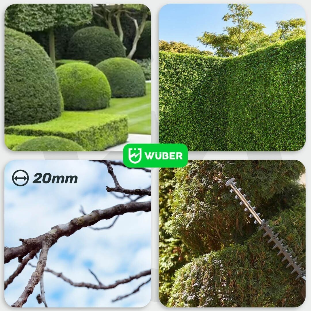 Elektrinės gyvatvorių žirklės Wuber W27331; 620W; 61cm 12